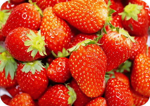 信頼できる地域の農家と直接取引！こだわり尽くした素材を使用