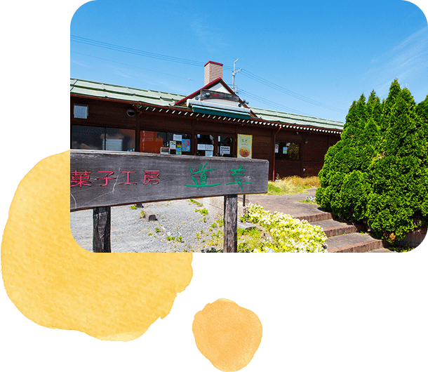 楽しいお菓子作りの専門店